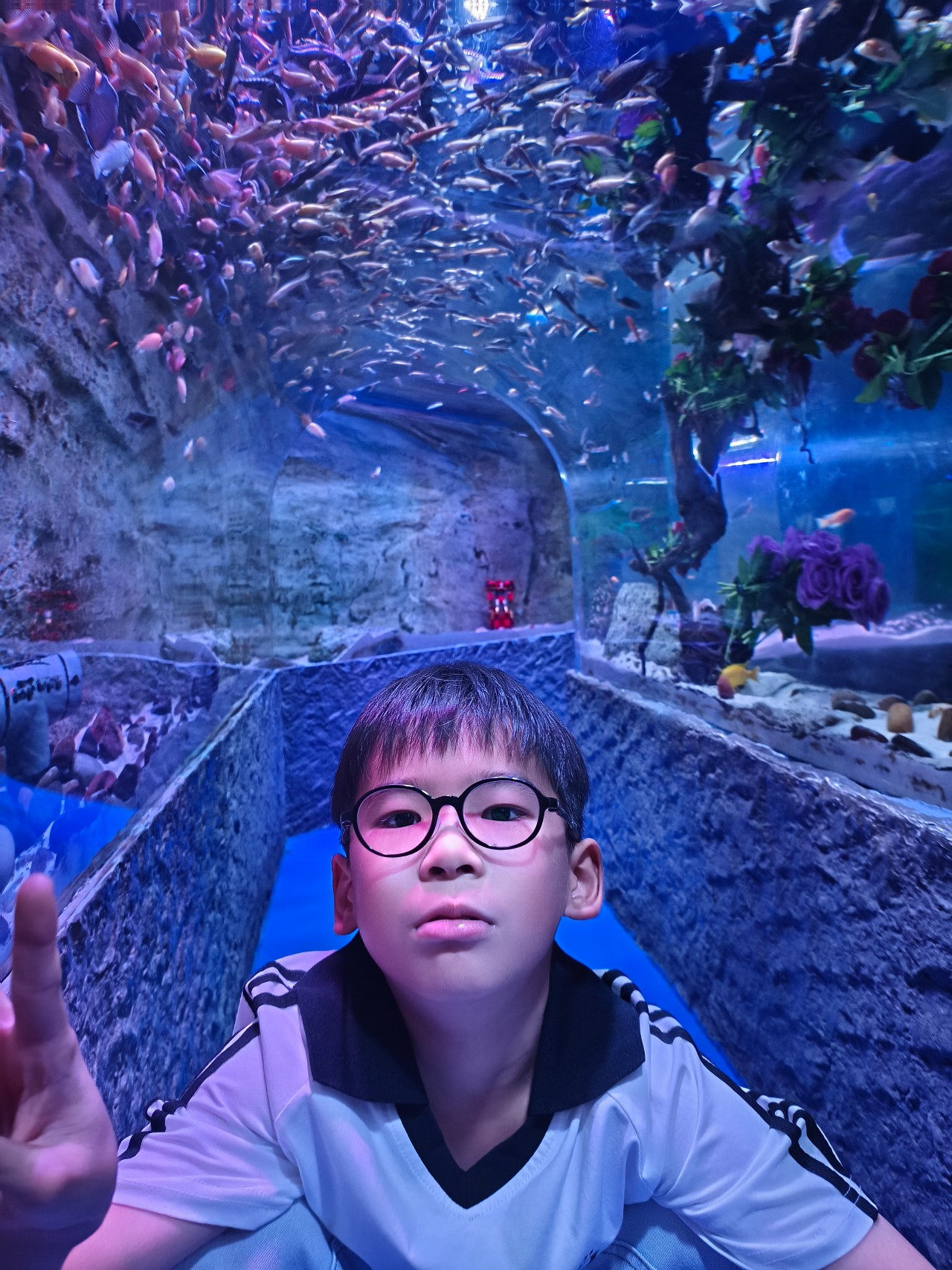 表情丑亖怪